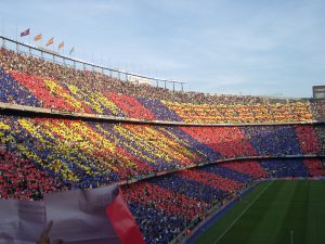 campnou_colors