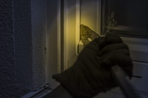 burglar-1678883_960_720